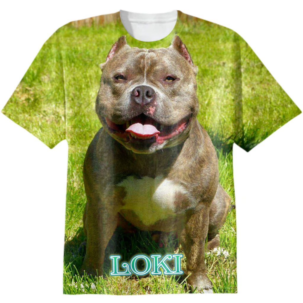 LOKI BULLY