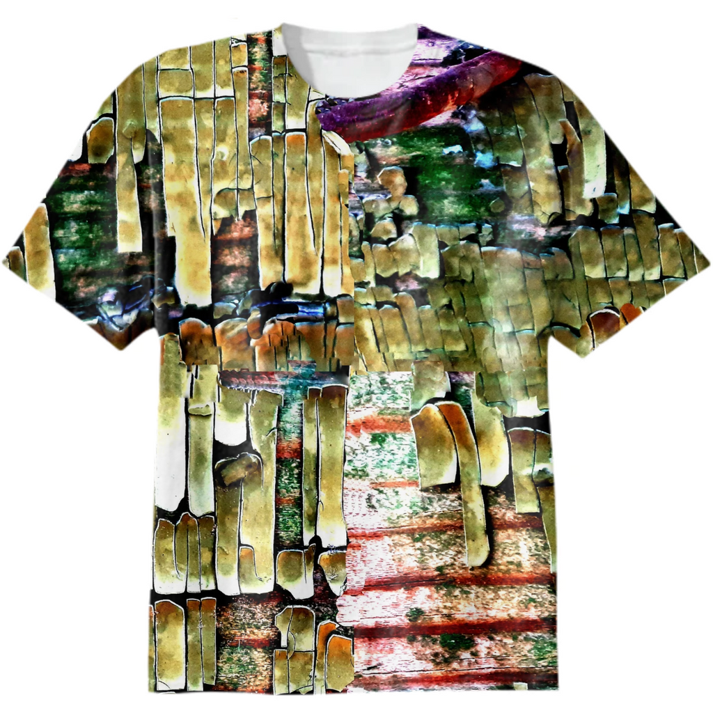 large scales, cracked paint, wood scales, multicolored scales, rags