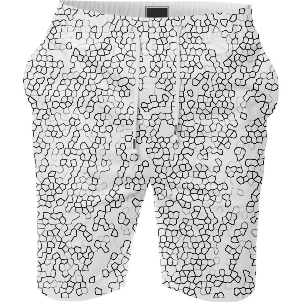 Black and White Geometric Print